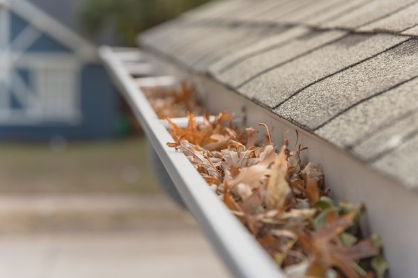 Leaf Barrier Installation in Wilmington